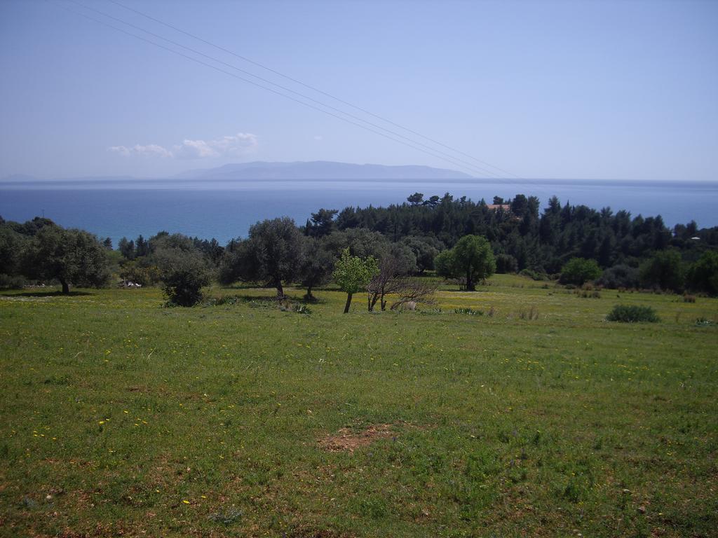 Apsedes Studios Trapezaki (Kefalonia) Quarto foto