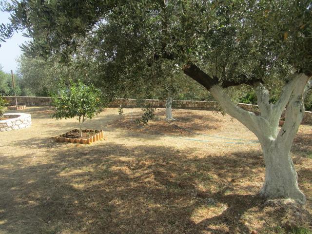 Apsedes Studios Trapezaki (Kefalonia) Exterior foto