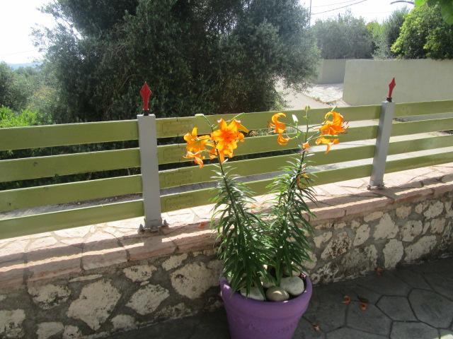 Apsedes Studios Trapezaki (Kefalonia) Exterior foto