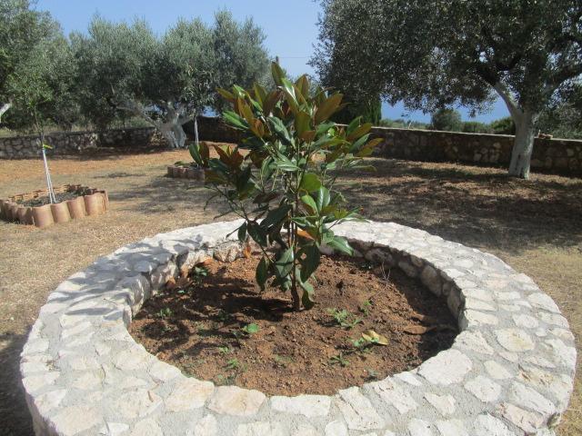 Apsedes Studios Trapezaki (Kefalonia) Exterior foto
