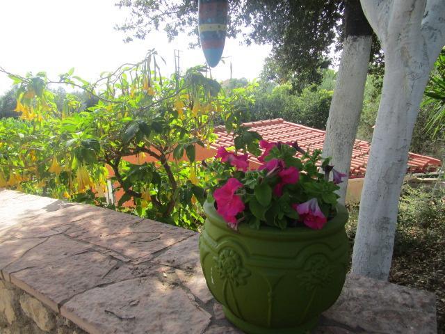 Apsedes Studios Trapezaki (Kefalonia) Exterior foto