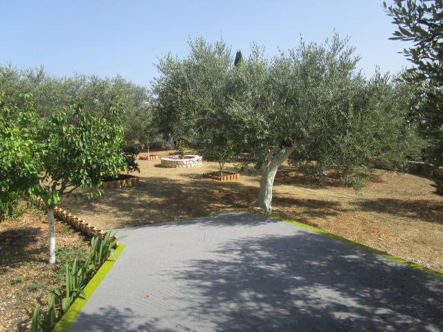 Apsedes Studios Trapezaki (Kefalonia) Exterior foto