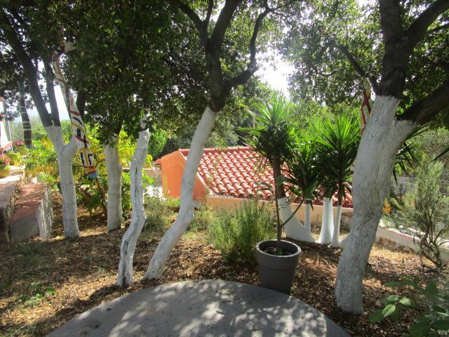 Apsedes Studios Trapezaki (Kefalonia) Exterior foto