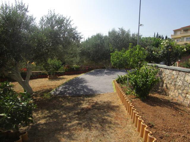 Apsedes Studios Trapezaki (Kefalonia) Exterior foto